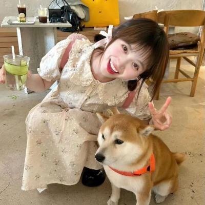 兄弟没狗不应该